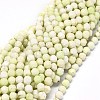 Natural Lemon Turquoise Beads Strands G-O201C-06-1