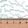 Glass Bugle Beads SEED-N007-28F-4
