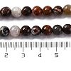 Natural Mexico Crazy Agate Beads Strands G-L615-A01-01-4