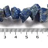 Raw Rough Natural Lapis Lazuli Beads Strands G-P528-A14-01-4