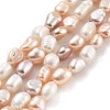 Natural Cultured Freshwater Pearl Beads Strands PEAR-P062-32E-2