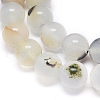 Natural Dendritic Agate Beads Strands G-D0005-18-10mm-3