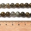 Natural Labradorite Beads Strands G-I253-01-5