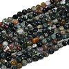Natural Indian Agate Beads Strands G-Q060-E08-01-2