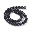 Natural Obsidian Bead Strands GSR10mmC132-3