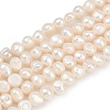Natural Cultured Freshwater Pearl Beads Strands PEAR-P064-20B-05A-2