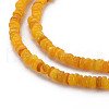Natural Freshwater Shell Beads Strands SHEL-S278-066B-3