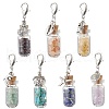 Chakra Natural Lapis Lazuli & Amethyst & Carnelian & Citrine & Garnet & Green Aventurine & Synthetic Turquoise Chips inside Glass Wishing Bottle Pendant Decoration HJEW-JM03310-2