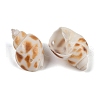 Natural Spiral Shell Pendants SHEL-K009-17D-2