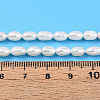 Natural Cultured Freshwater Pearl Beads Strands PEAR-N012-04M-6