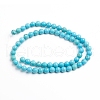 Natural Magnesite Beads Strands G-E559-01C-2