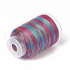 3-Ply Segment Dyed Nylon Thread Cord NWIR-F011-01F-2