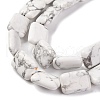 Natural Howlite Beads Strands G-T047-B23-01-4