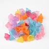 Mixed Color Frosted Acrylic Beads X-PL692-3