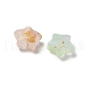 Frosted Acrylic Charms OACR-M023-04A-2