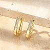 Oval Brass Micro Pave Clear Cubic Zirconia Hoop Earrings EJEW-D311-011G-5