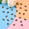 Tibetan Style Alloy Charms MLF0339Y-5