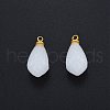 Glass Charms PALLOY-P285-30G-02-2
