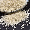 MIYUKI Delica Beads X-SEED-J020-DB0762-1