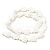 Natural Trochid Shell/Trochus Shell Beads Strands SSHEL-R145-05-2