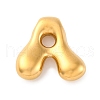 304 Stainless Steel Pendants STAS-S166-02G-01-1