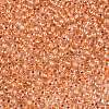 6/0 Transparent Inside Colours Glass Seed Round Beads X1-SEED-N006-004I-3