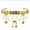 Pentagon Alloy Chain Tassel Waist Beads FS-WGA4098-01-4