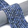 Natural Dumortierite Beads Strands G-P575-A03-6x4mm-1