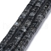 Natural Black Larvikite Beads Strands G-Z006-C31-1