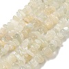 Natural White Moonstone Beads Strands G-P332-01-4