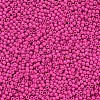 11/0 Grade A Baking Paint Glass Seed Beads X-SEED-N001-A-1043-2