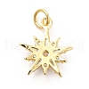 Rack Plating Brass Micro Pave Cubic Zirconia Pendants KK-K270-18G-2