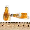 Transparent Resin Pendants RESI-D074-03C-3