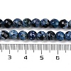 Natural Fire Crackle Agate Beads Strands G-C082-A01-31-5