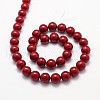 Shell Pearl Beads Strands BSHE-L026-01-10mm-01-2