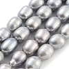Natural Cultured Freshwater Pearl Beads Strands PEAR-P062-10D-2
