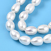 Natural Cultured Freshwater Pearl Beads Strands PEAR-N012-AA-01-4