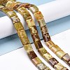 Natural Dragon Blood Jabe Beads Strands G-E572-03-4