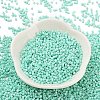 Baking Paint Glass Seed Beads SEED-S042-05B-61-2