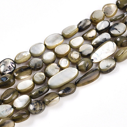 Natural White Shell Beads Strands SHEL-N036-21A-1