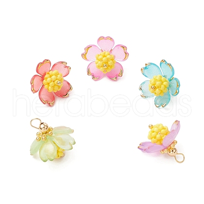 Transparent Acrylic Pendants PALLOY-MZ00738-1