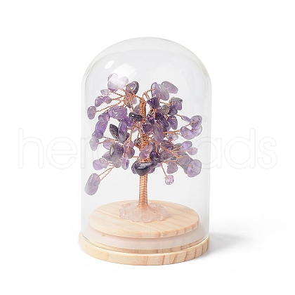 Natural Amethyst Chips Money Tree in Dome Glass Bell Jars with Wood Base Display Decorations DJEW-B007-04G-1