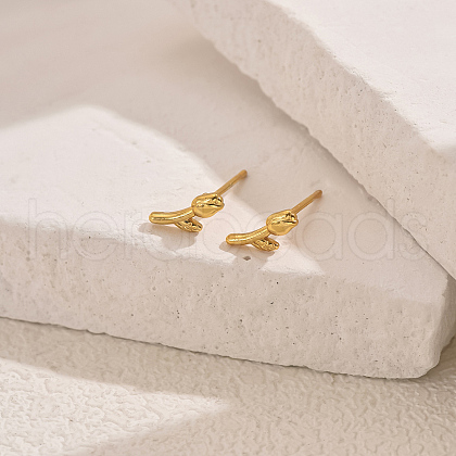 Stainless Steel Stud Earrings TY5143-5-1