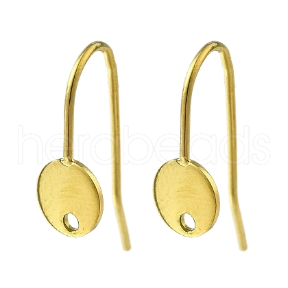 304 Stainless Steel Earring Hooks STAS-B087-09A-G-1