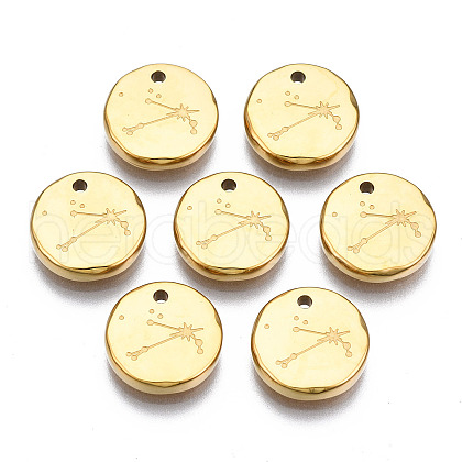 316 Surgical Stainless Steel Charms STAS-S116-418B-G-1
