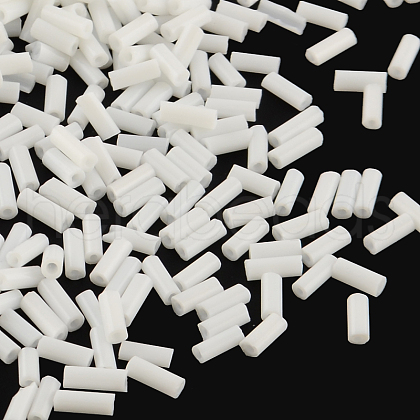Glass Bugle Beads SEED-R011-41-1