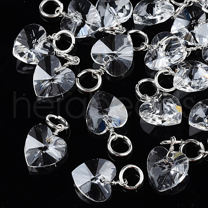 Faceted Transparent Glass Charms GLAA-T024-04L-1