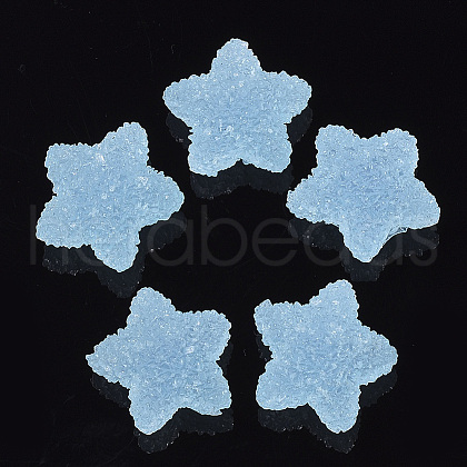Resin Cabochons CRES-N019-05A-1