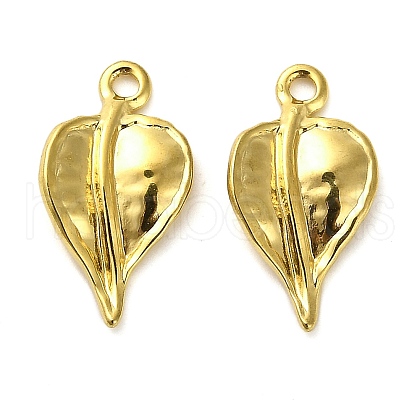 304 Stainless Steel Pendants STAS-D195-01G-03-1