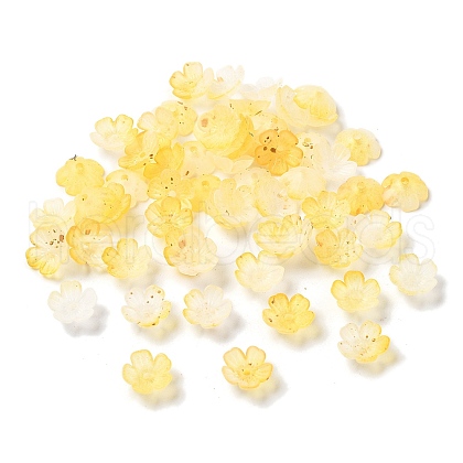 Acrylic Bead Caps OACR-Z028-03D-1